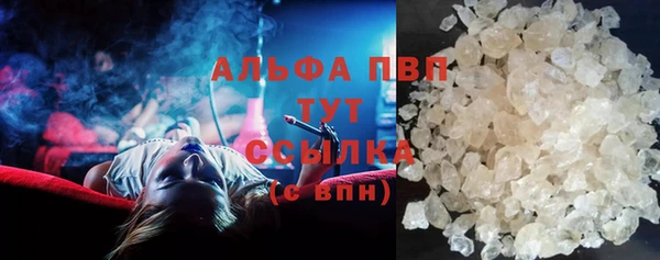 стафф Богданович