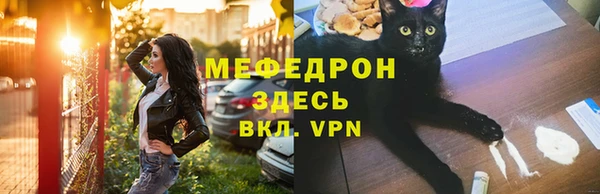 спиды Богородицк