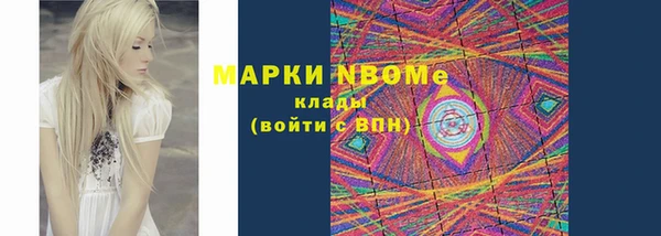 спиды Богородицк