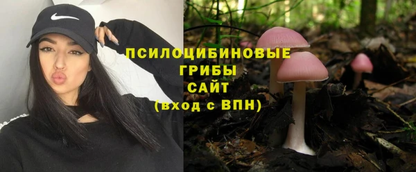 гидропоника Белоозёрский
