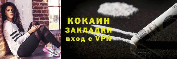 стафф Богданович