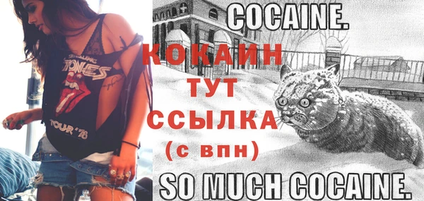 молекула духа Белокуриха
