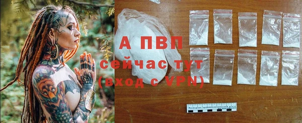 спиды Богородицк
