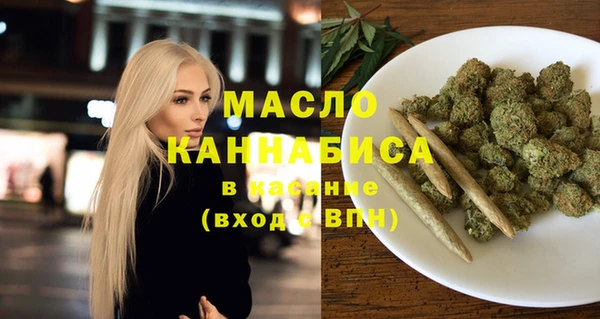 спиды Богородицк